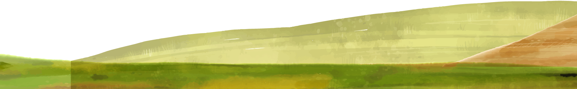 About Field