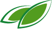 Feuille