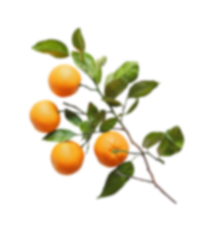 Blurry oranges in the background