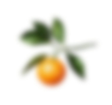 Blurry oranges in the background