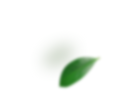 Feuille Bottom Right