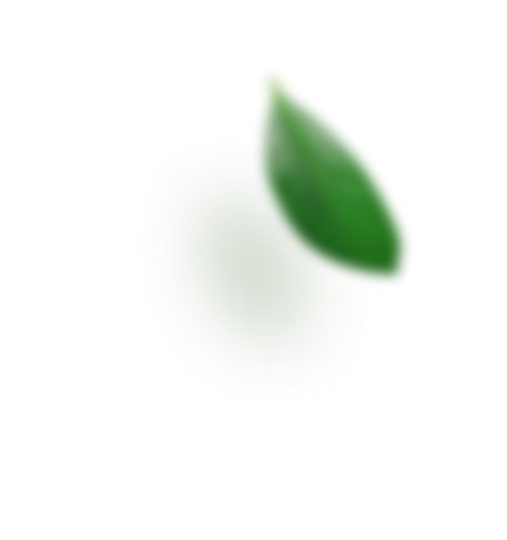 Feuille Top Right