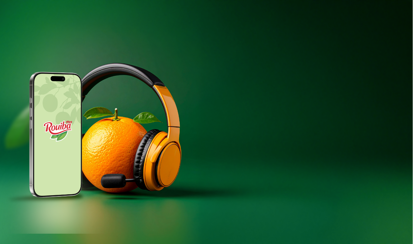 casque