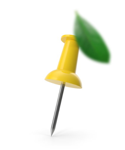 pin