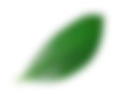 Feuille