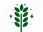Sans gluten icon