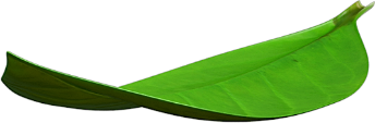 Bottle bottom leaf