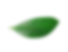 Top right decorative leaf