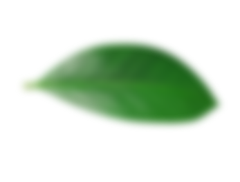 Section left